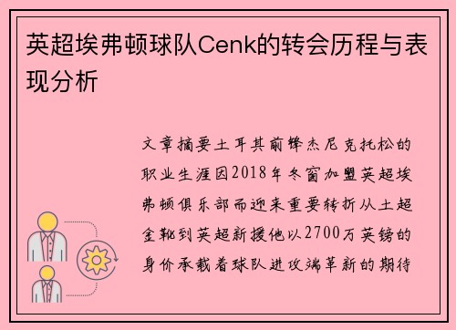 英超埃弗顿球队Cenk的转会历程与表现分析